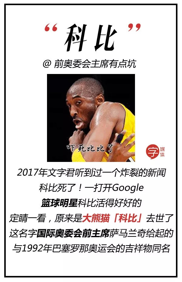 每一只可爱滚滚的背后，都有一群起名字不靠谱的人！