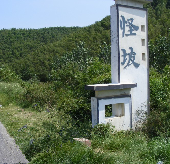 赏竹观荷，江宁石塘村