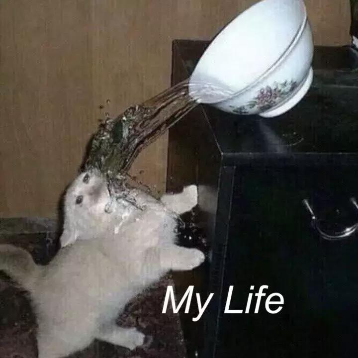 入秋护肤品推荐大牌,入秋用哪款补水护肤品好