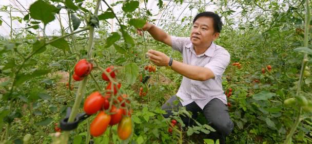 苏家屯沈阳国际展览中心农博会,沈阳农民丰收节活动策划