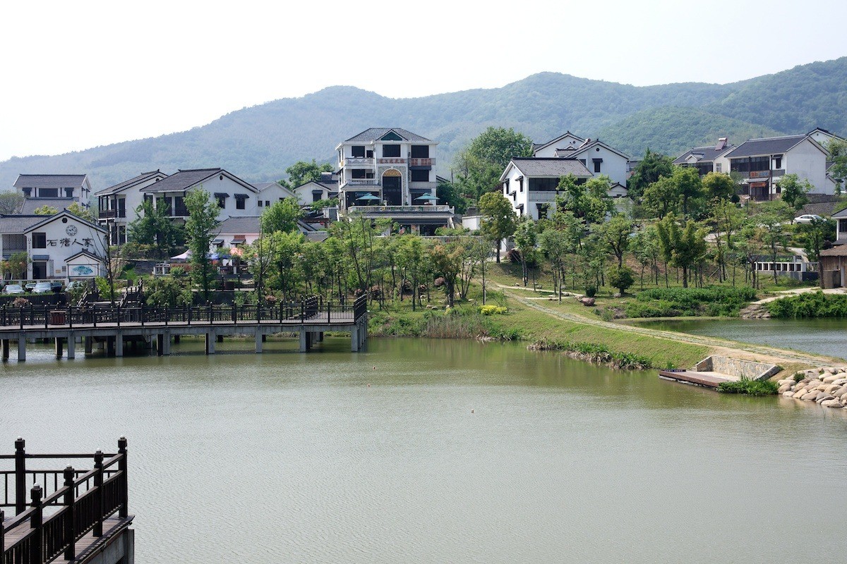 赏竹观荷，江宁石塘村