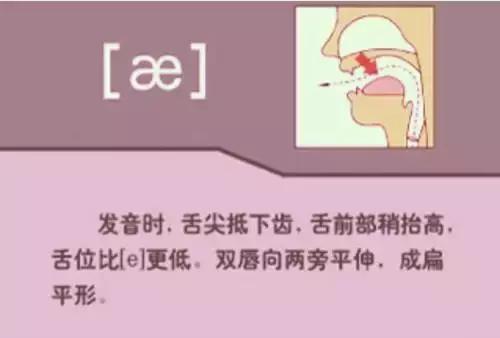 音标教学视频48个,夏沫英语48个音标教学视频