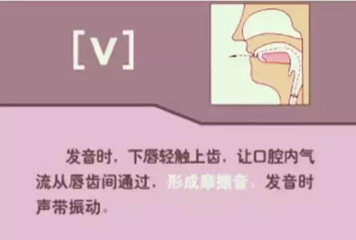 音标教学视频48个,夏沫英语48个音标教学视频