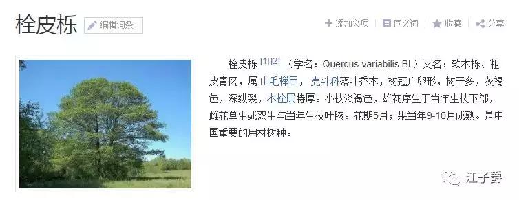 红酒橡木塞是用什么做的,红酒软木塞是什么材质