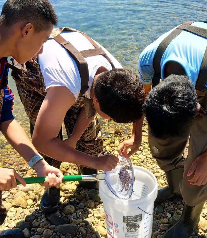 2018新东方国际游学冬令营,2018新东方暑假游学