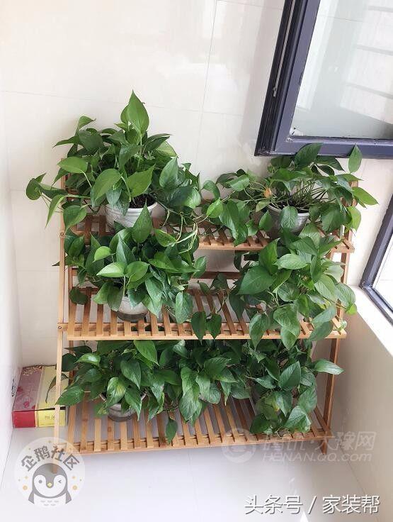 两室一厅80平北欧风装修效果图,120平北欧轻奢ins风装修