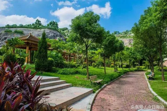 海沧中学厉害吗,厦门海沧高级中学有哪些