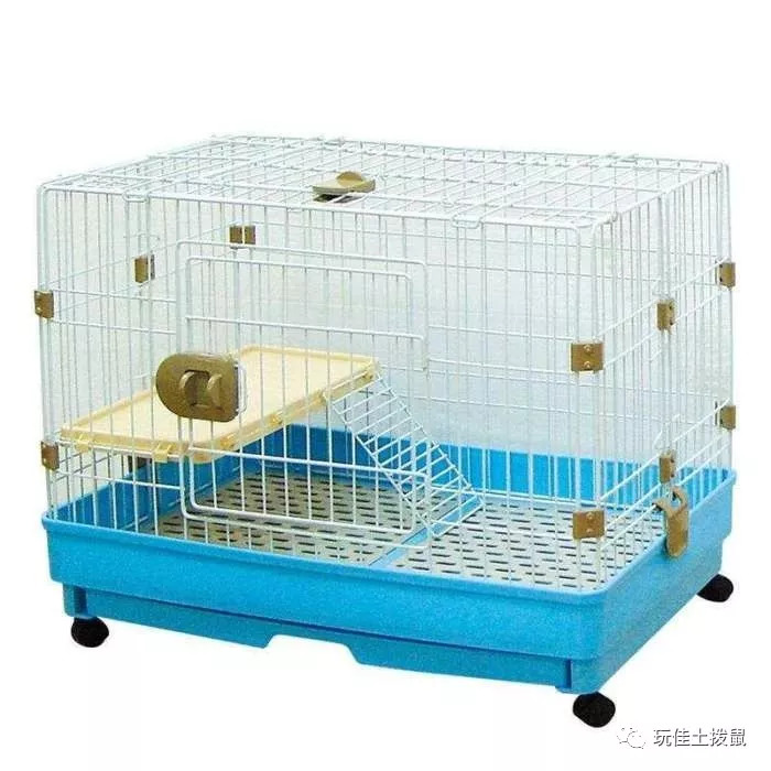 土拨鼠宠物好养吗？最全饲养指南（新手必看！）