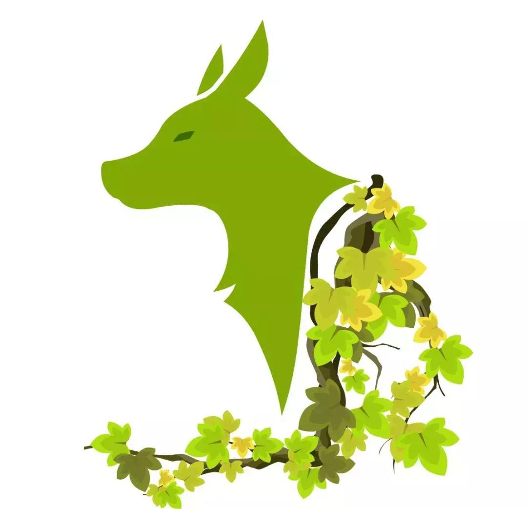 2022年生肖运势狗健康,2018年十二生肖财运狗