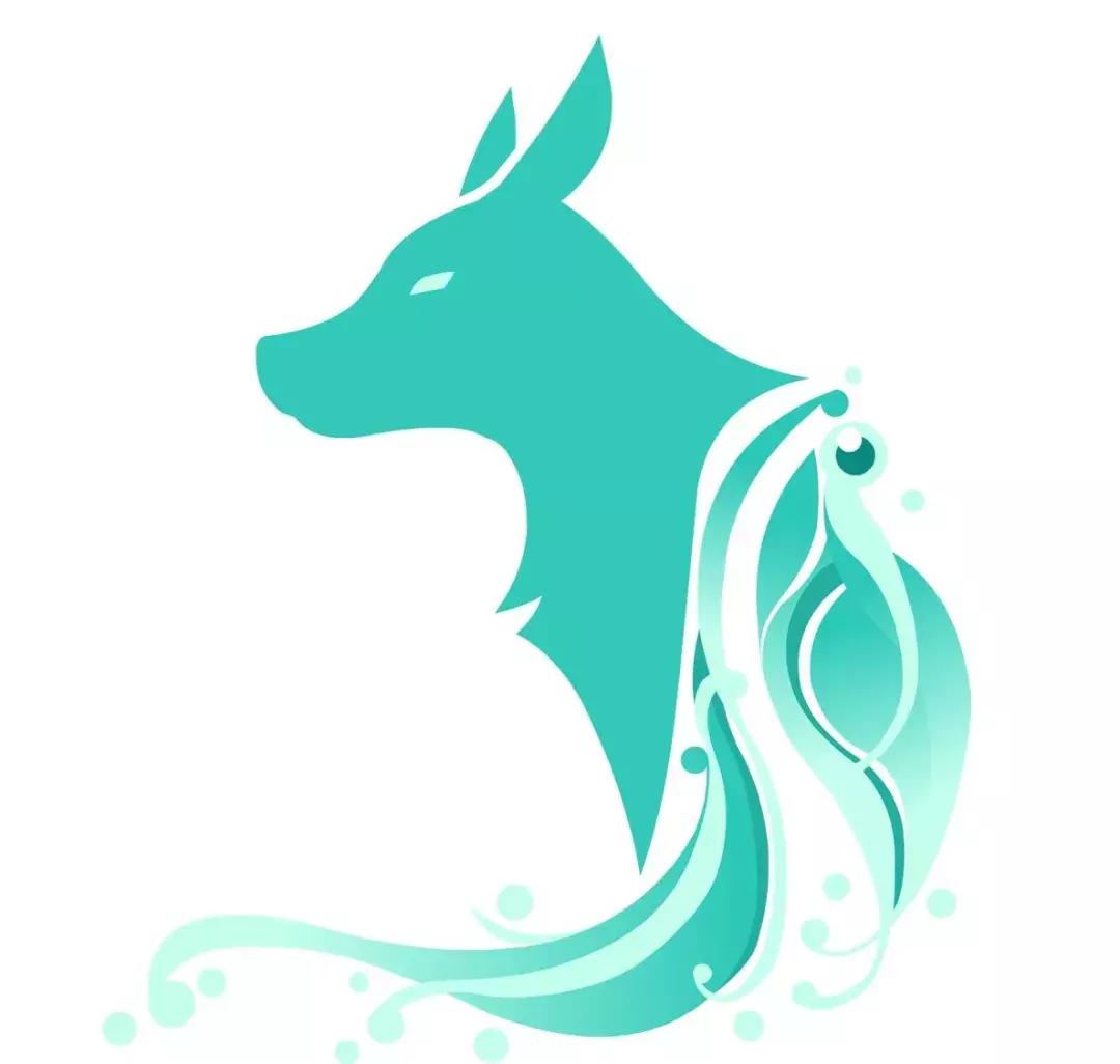 2022年生肖运势狗健康,2018年十二生肖财运狗