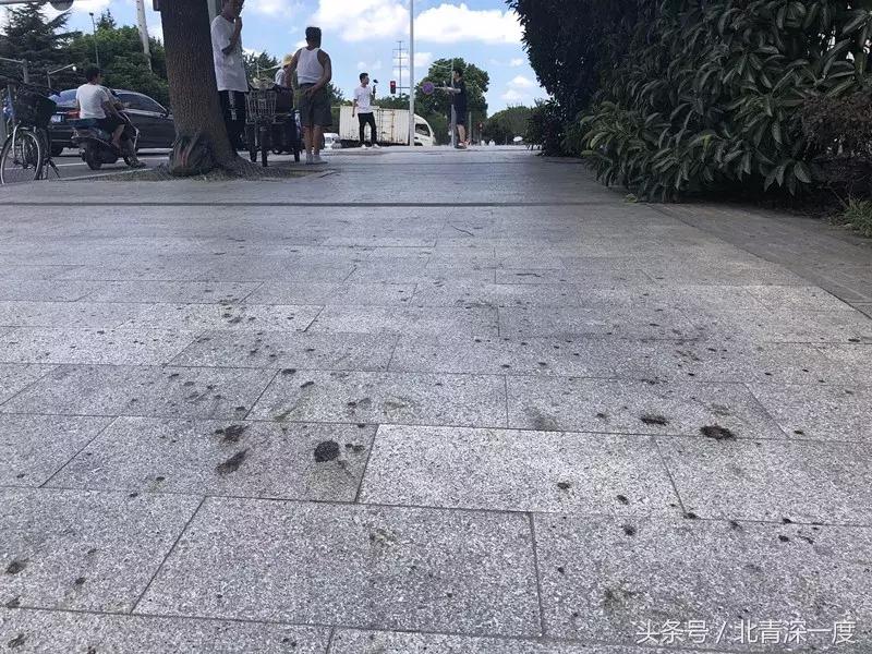 昆山反杀宝马男案大案纪实,昆山反杀案同伙判决结果