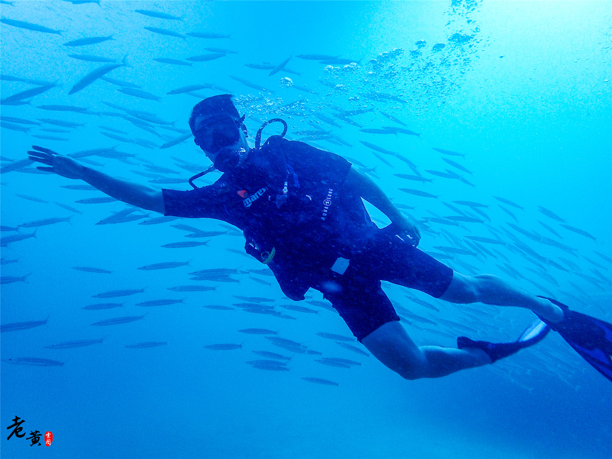普吉岛深潜在哪里能遇到鱼群风暴,泰国大小皇帝岛潜水