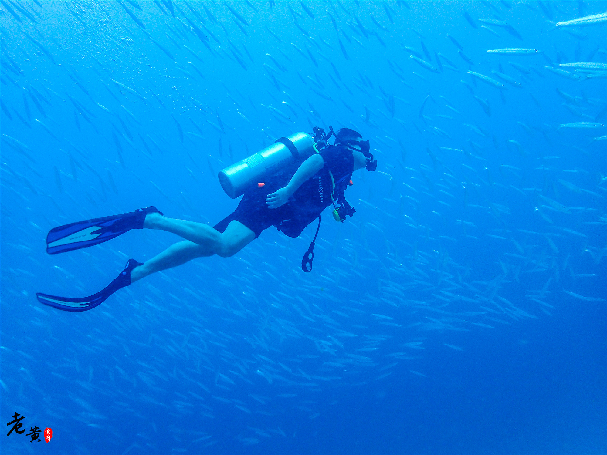 普吉岛深潜在哪里能遇到鱼群风暴,泰国大小皇帝岛潜水