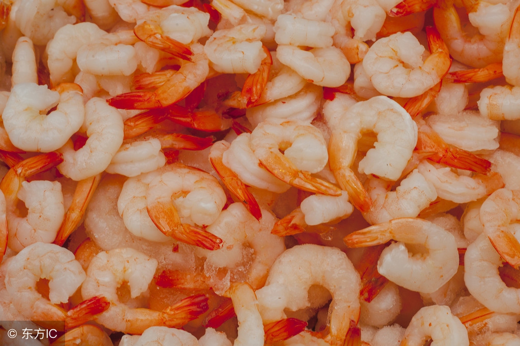 双食记里面的食物相克菜谱,双食记里面的食物相克观后感