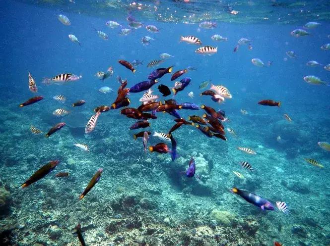 沙巴自由行注意事项有哪些 (去沙巴要注意些什么)