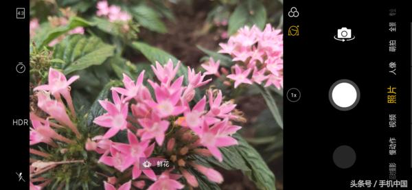 opporeno和r17哪个好,oppor17现在还值得买吗