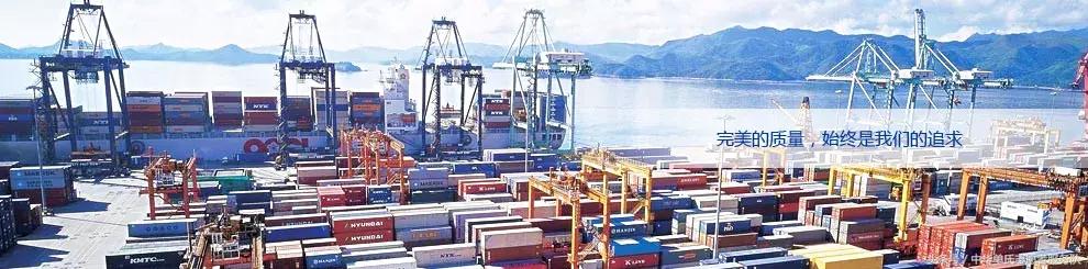 新华昌董事长单兴海,新华昌董事长单兴海儿子