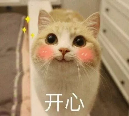 苏州奥体中心什么时候开,苏州奥体中心今天有啥活动