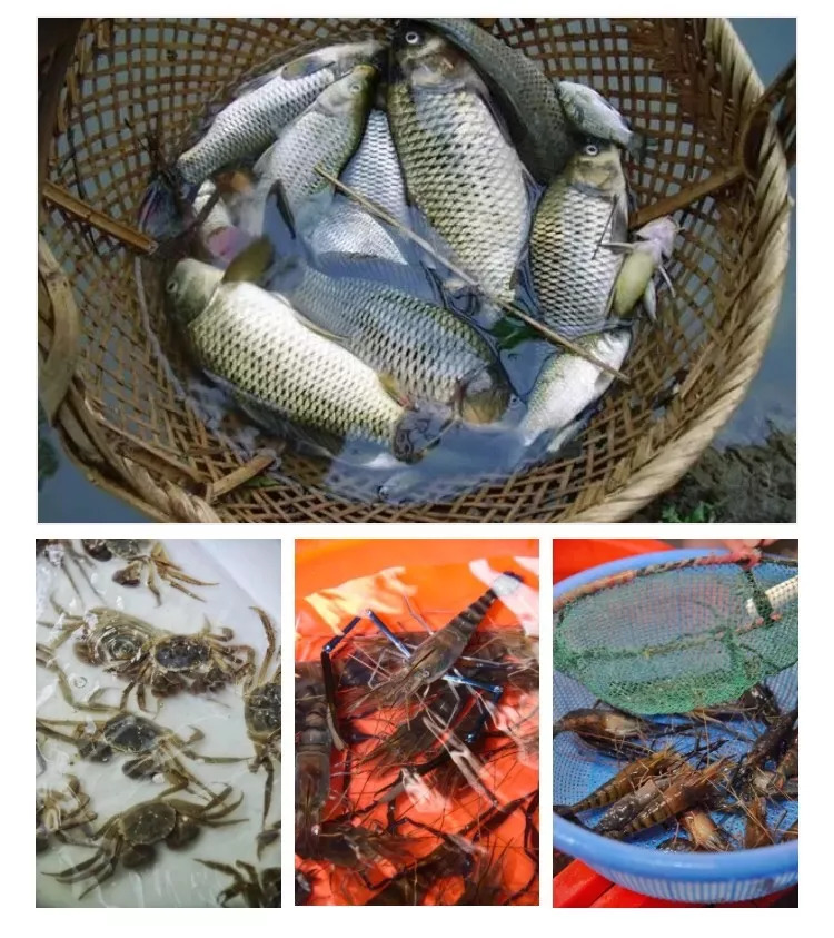 苏州奥体中心什么时候开,苏州奥体中心今天有啥活动