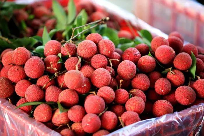 在广州生活幸福吗,在广州一个人住哪幸福指数比较高