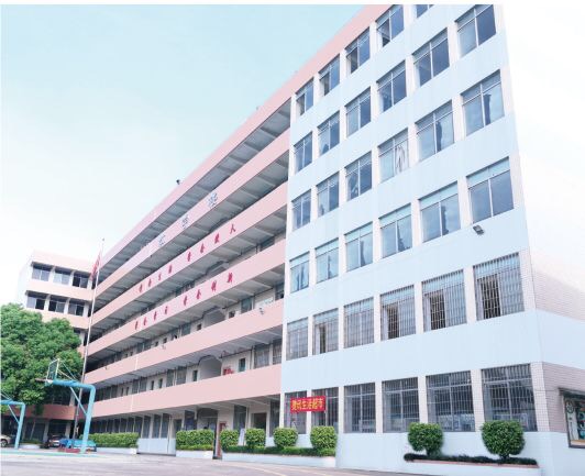 睿博教育辅导班怎么样,广州睿博高职辅导班官网