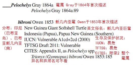 龟鳖目动物大全及图片,所有龟鳖类动物