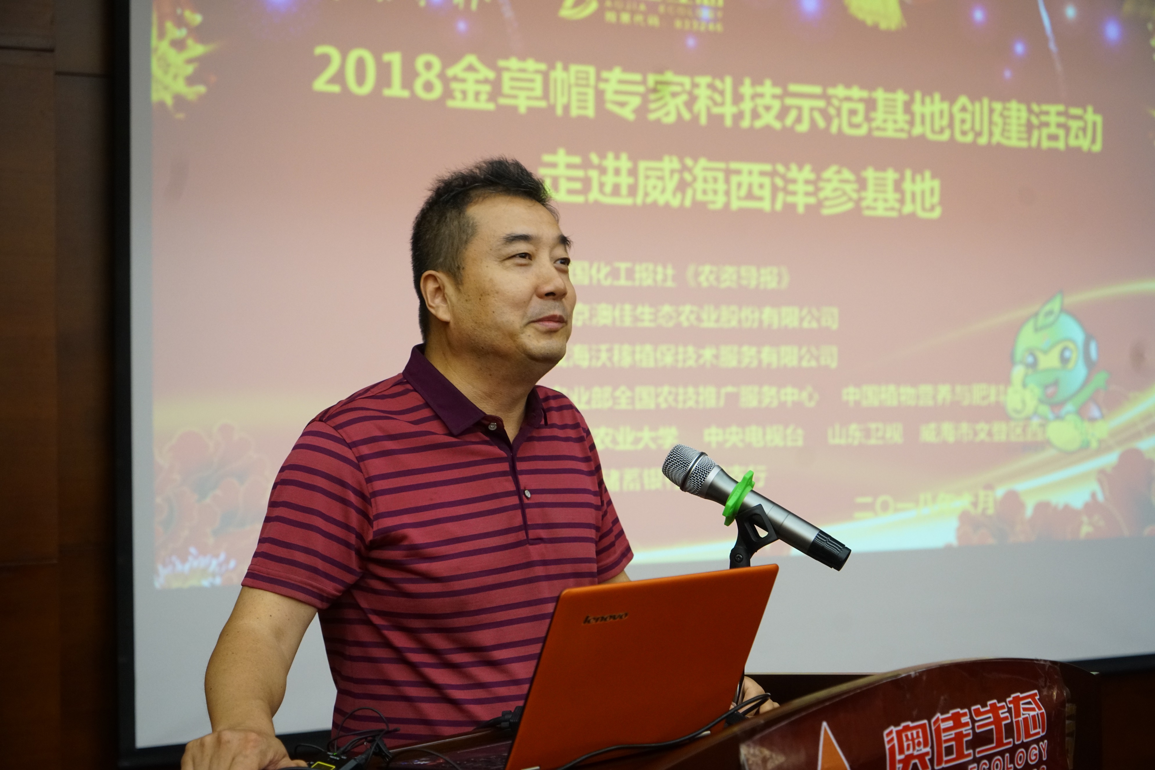 中国西洋参种植基地,20年西洋参