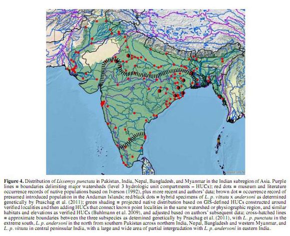 龟鳖目动物大全及图片,所有龟鳖类动物