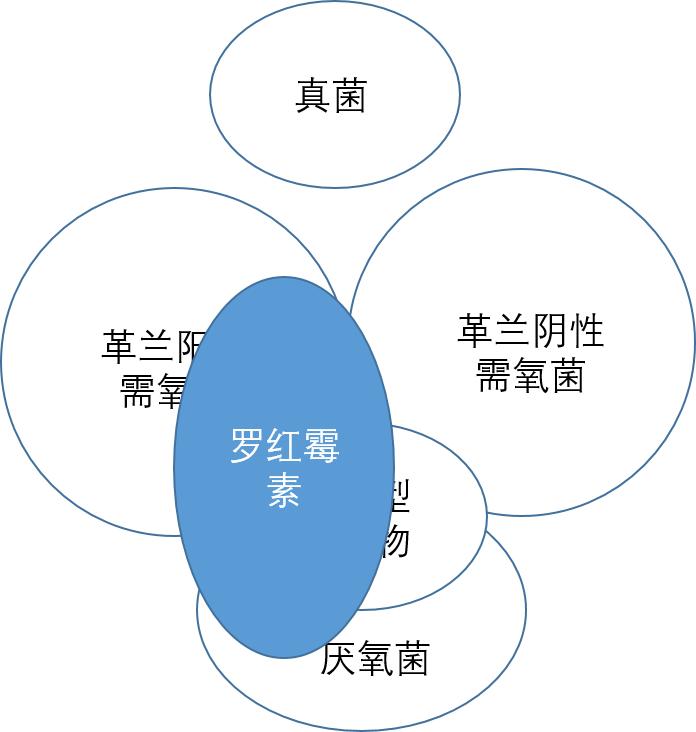 口服阿莫西林罗红霉素头孢克肟,头孢青霉素阿莫西林罗红霉素区别
