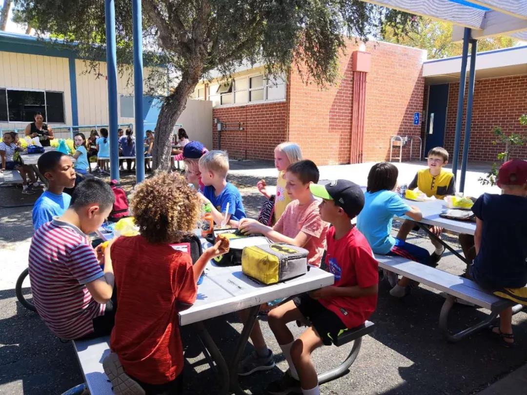 突破传统教育,英语教育的课程