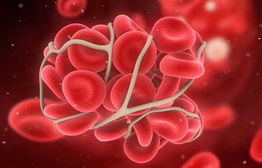 熊猫血是什么样的感觉,熊猫血是怎么才能成为熊猫血的