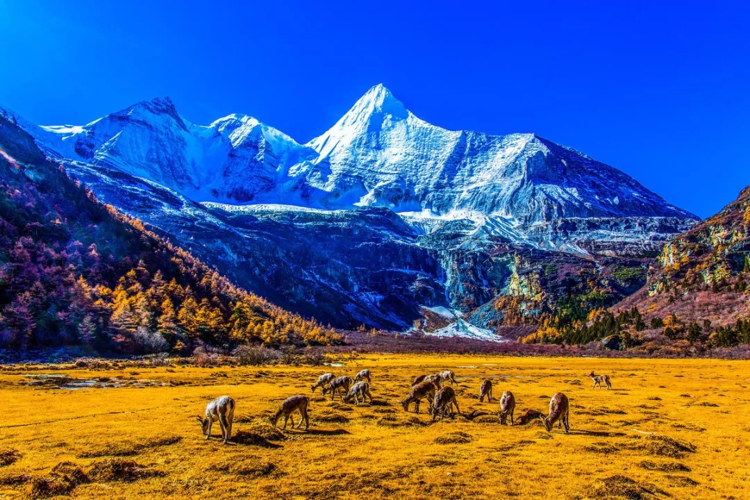 老子不上班请假去稻城,9月不上班了句子