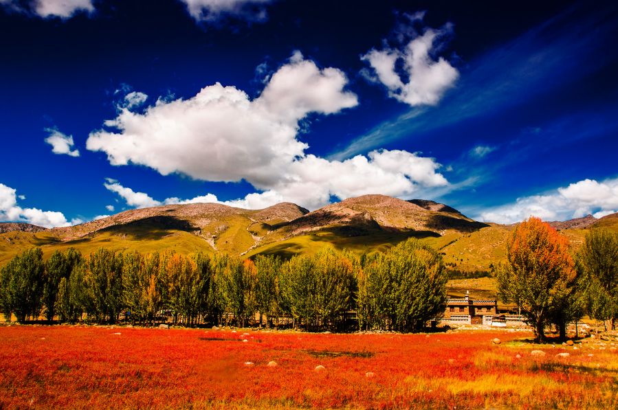 老子不上班请假去稻城,9月不上班了句子