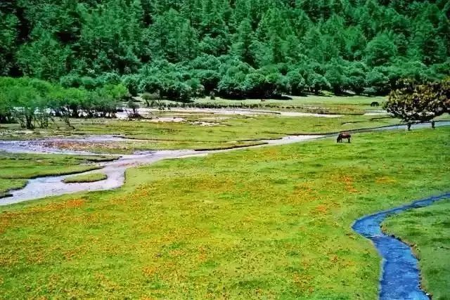 老子不上班请假去稻城,9月不上班了句子