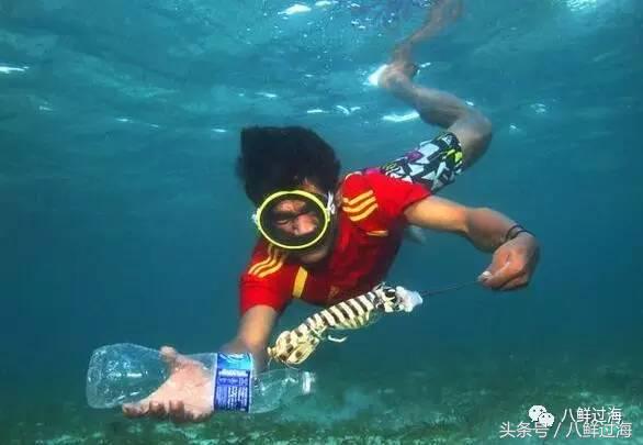 比手臂还大的皮皮虾吃起来超过瘾,比手臂还粗的皮皮虾你吃过了吗