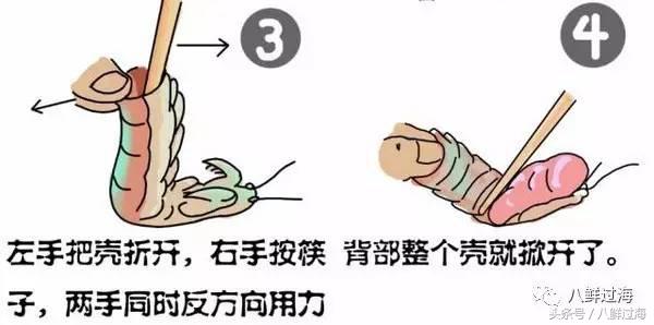 比手臂还大的皮皮虾吃起来超过瘾,比手臂还粗的皮皮虾你吃过了吗