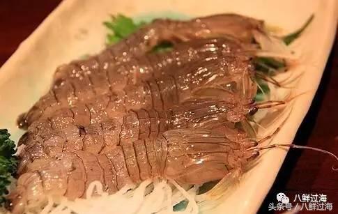 比手臂还大的皮皮虾吃起来超过瘾,比手臂还粗的皮皮虾你吃过了吗