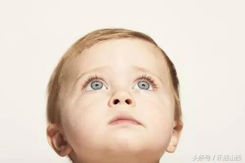 太原口碑最好的粤菜餐厅,湘粤餐厅