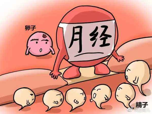 孕妈妈记录怀孕的日记,怀孕1到10个月怀孕日记