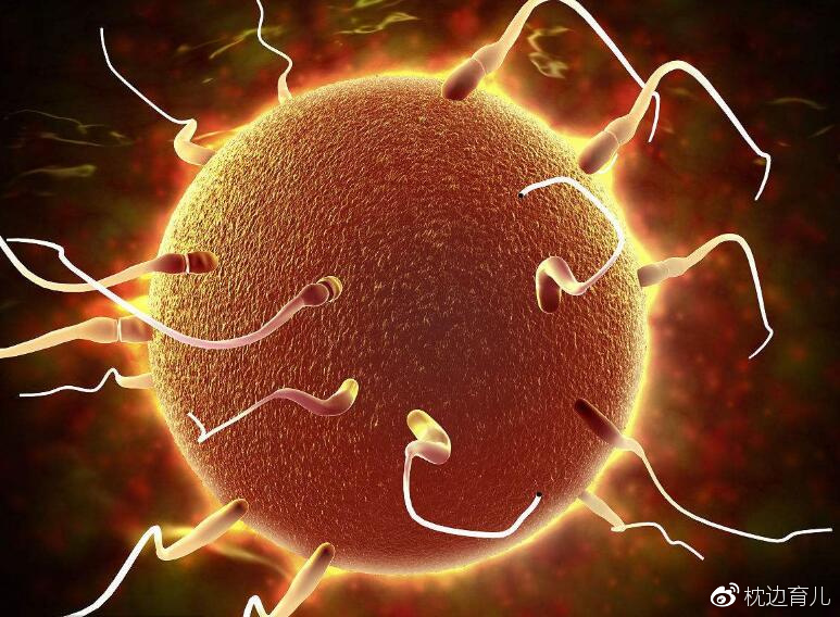 孕妈妈记录怀孕的日记,怀孕1到10个月怀孕日记