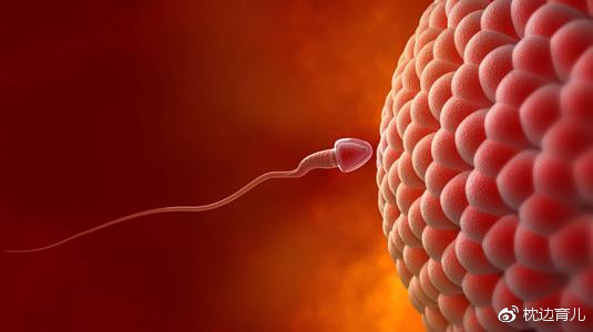 孕妈妈记录怀孕的日记,怀孕1到10个月怀孕日记