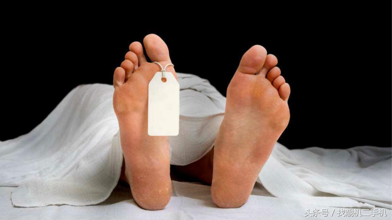 人死前血液在身体里循环,死后血液都流到哪去了?