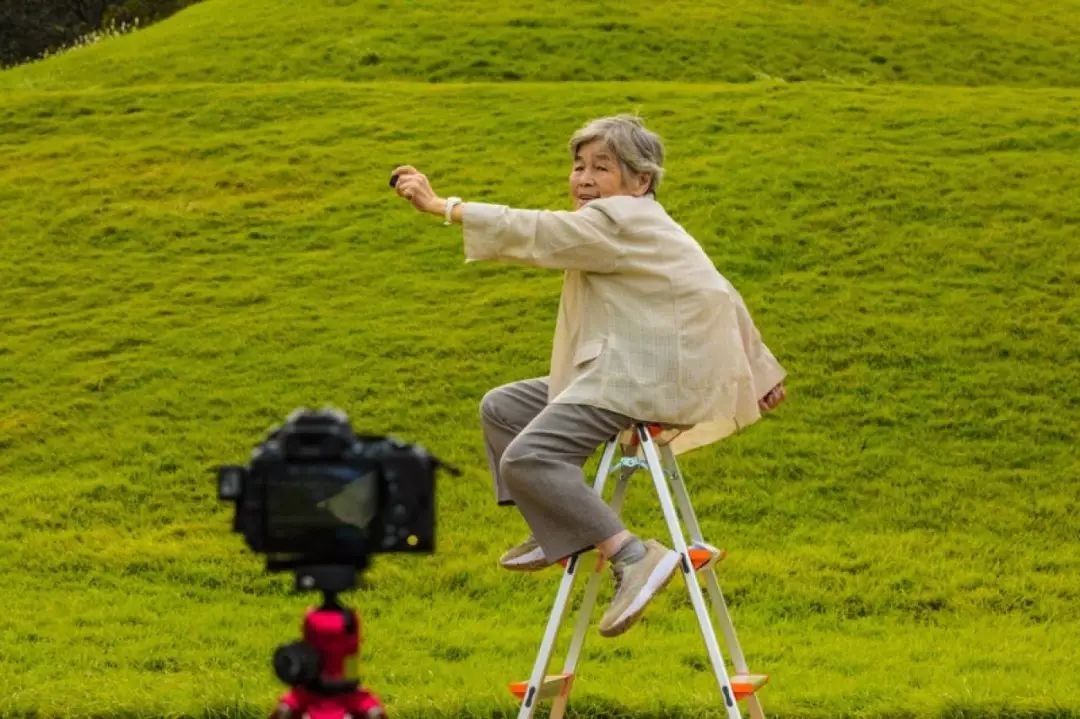 九十岁开车网红老奶奶,九十岁网红老奶奶开车