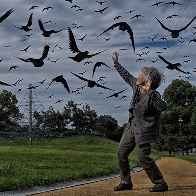 九十岁开车网红老奶奶,九十岁网红老奶奶开车