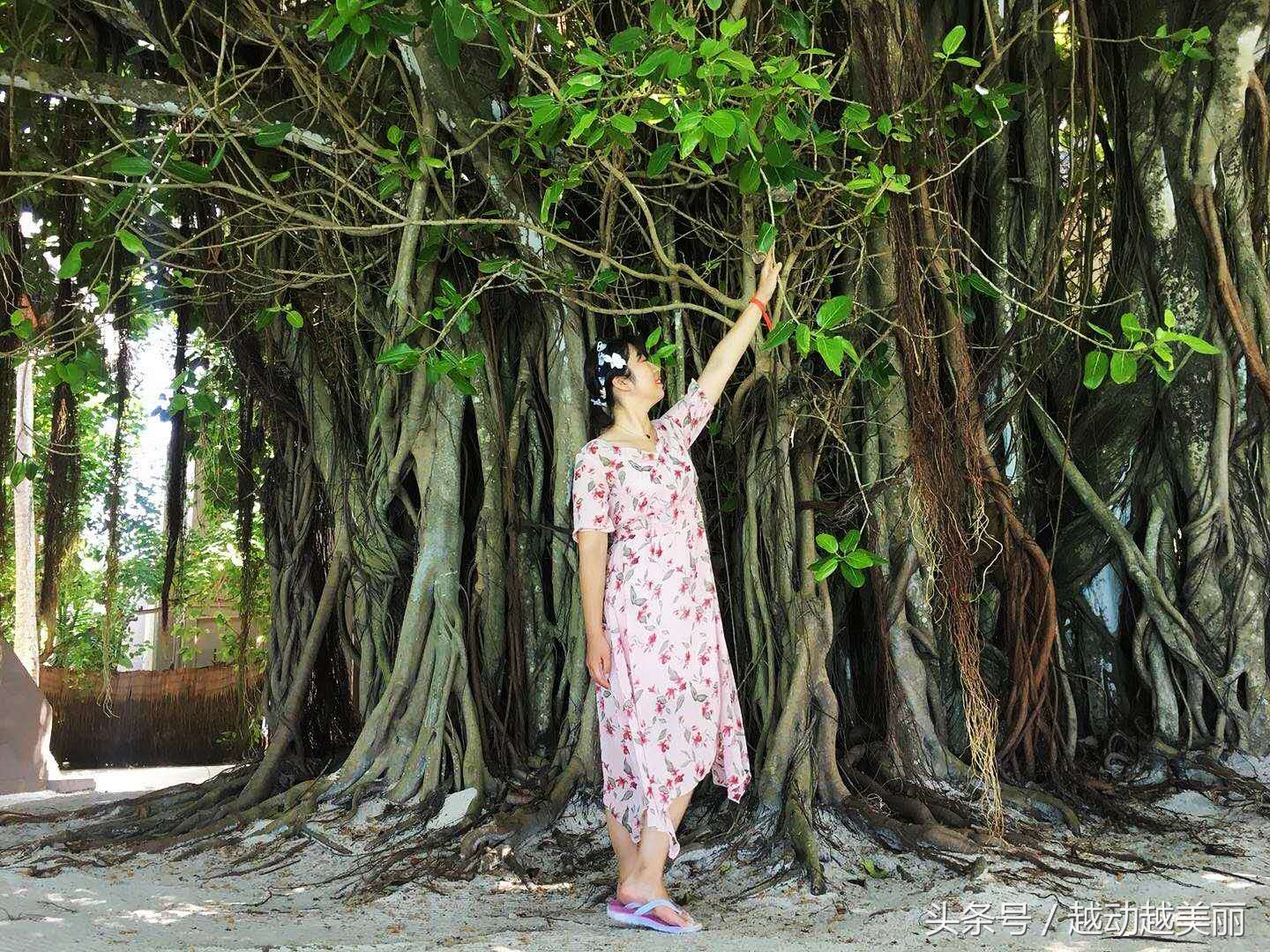 马尔代夫哪个岛浮潜最佳推荐,夏日全民旅行记海滩