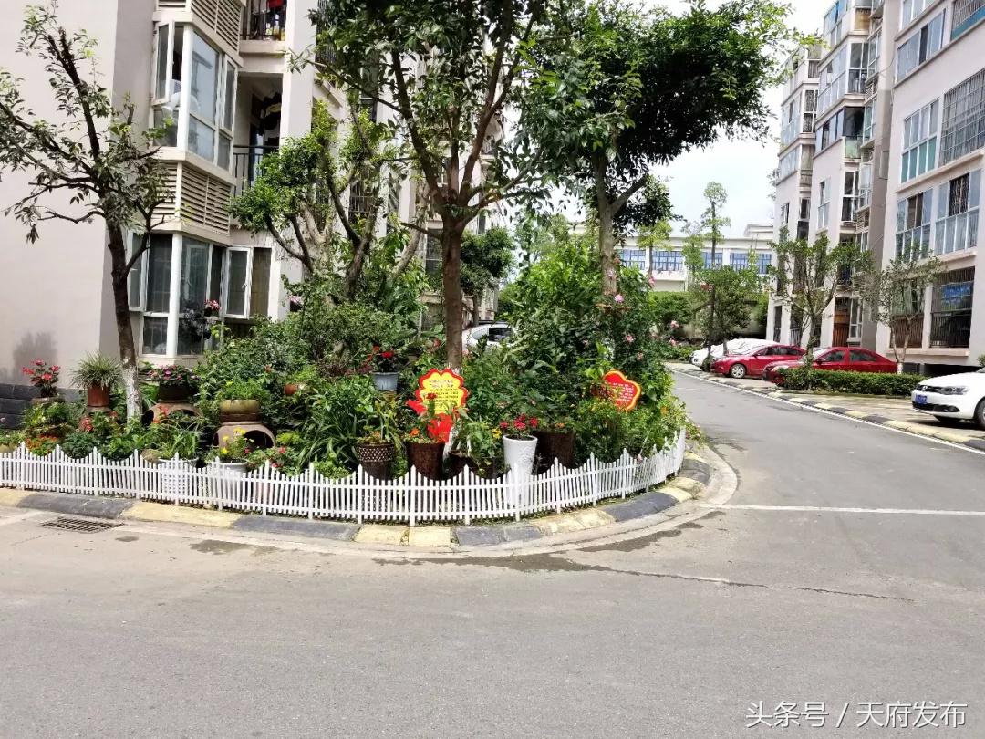 升级服务!万安街道创新探索社区治理新路径,提升居民幸福感