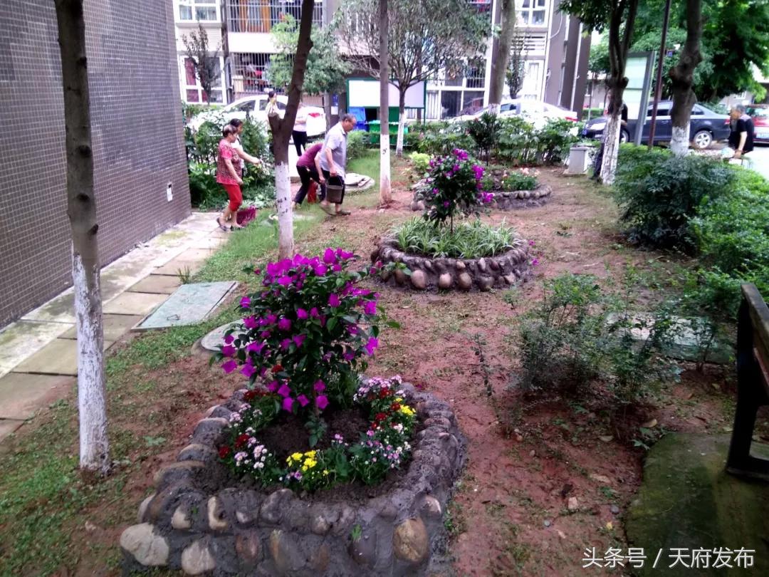 升级服务!万安街道创新探索社区治理新路径,提升居民幸福感