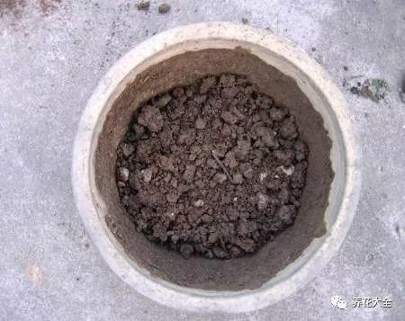 用塑料瓶自己做自动浇水种菜神器,空瓶子改造浇水器的小妙招