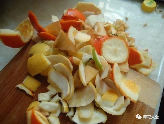 用塑料瓶自己做自动浇水种菜神器,空瓶子改造浇水器的小妙招