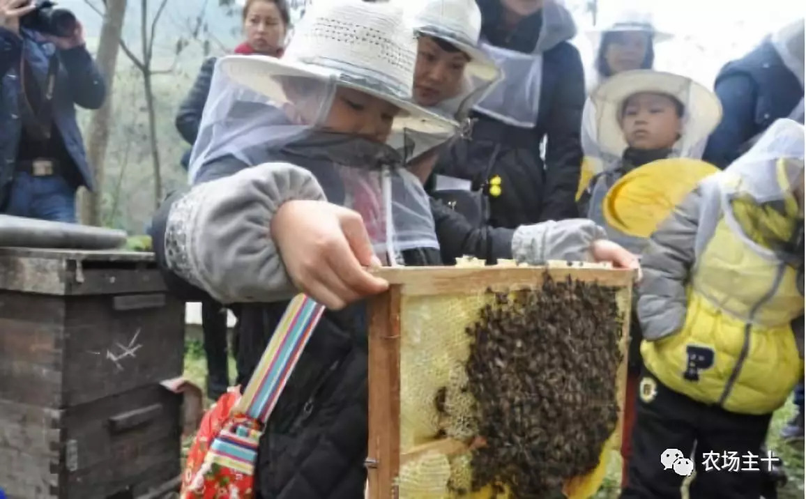 旅游商品如何挖掘,旅游商品的选售有哪些技巧